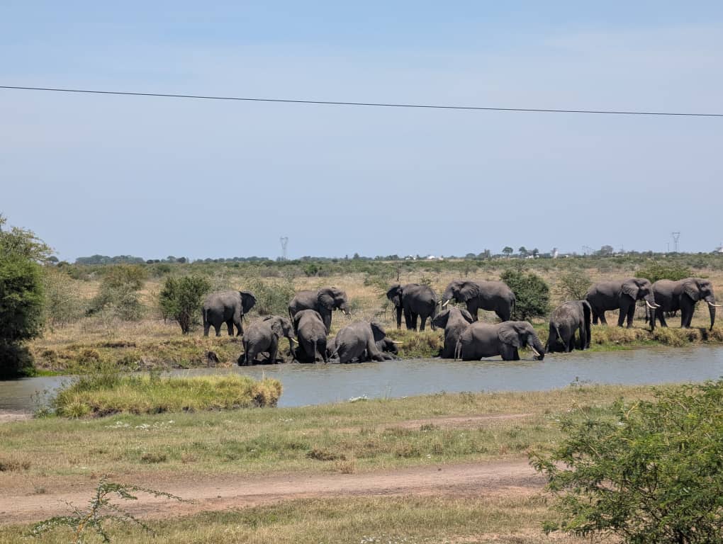KIJELESHI GAME RESERVE MARATHON